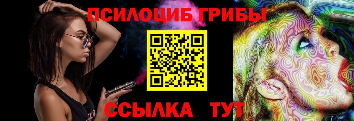 Новосибирск  Псилоцибиновые грибы мицелий  Вход с VPN 