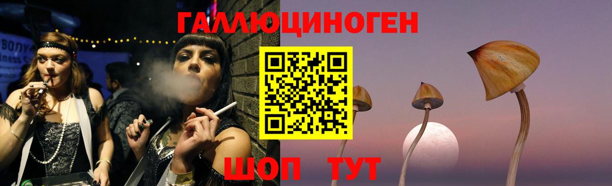 Псилоцибиновые грибы прущие грибы Новосибирск