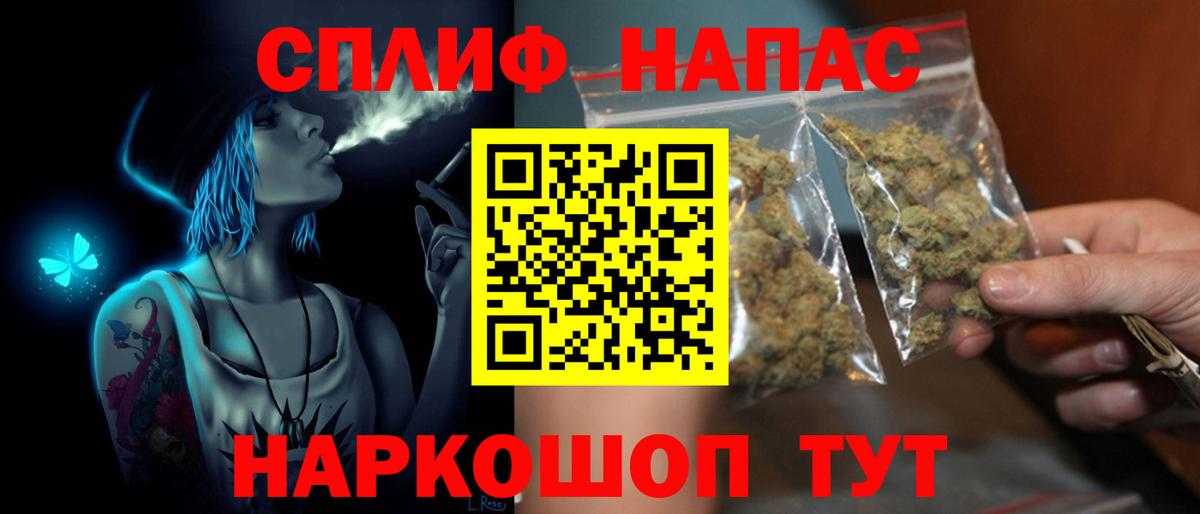 Шишки марихуана семена Новосибирск